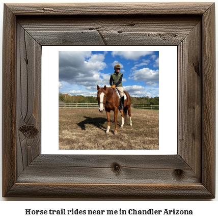 horse trail rides near me in Chandler, Arizona